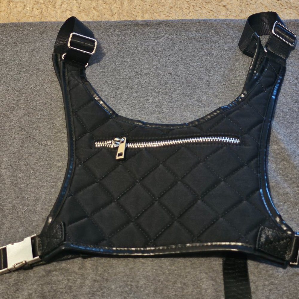 Dolls Kill Poster Girl Body Harness(Pics Linked)